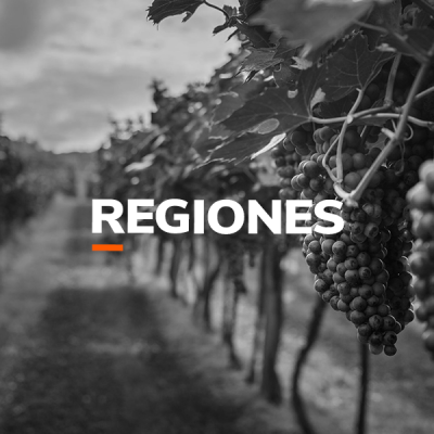 REGIONES